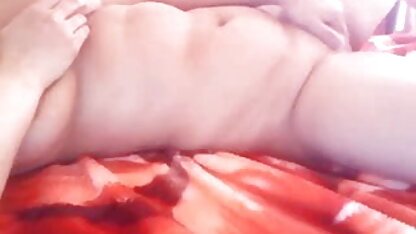 Insex-टायलर (livestream, सेक्सी पिक्चर फुल एचडी बीपी प्रसारण)