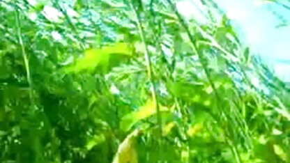 सेक्सी शिक्षक पिटाई (नाटा) फुल एचडी सेक्सी फिल्म