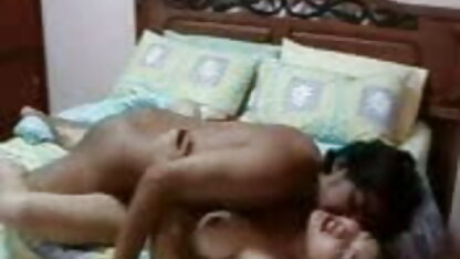 सुअर-बिल्ली यातना पट्टा पर ब्लू फिल्म सेक्सी फुल एचडी